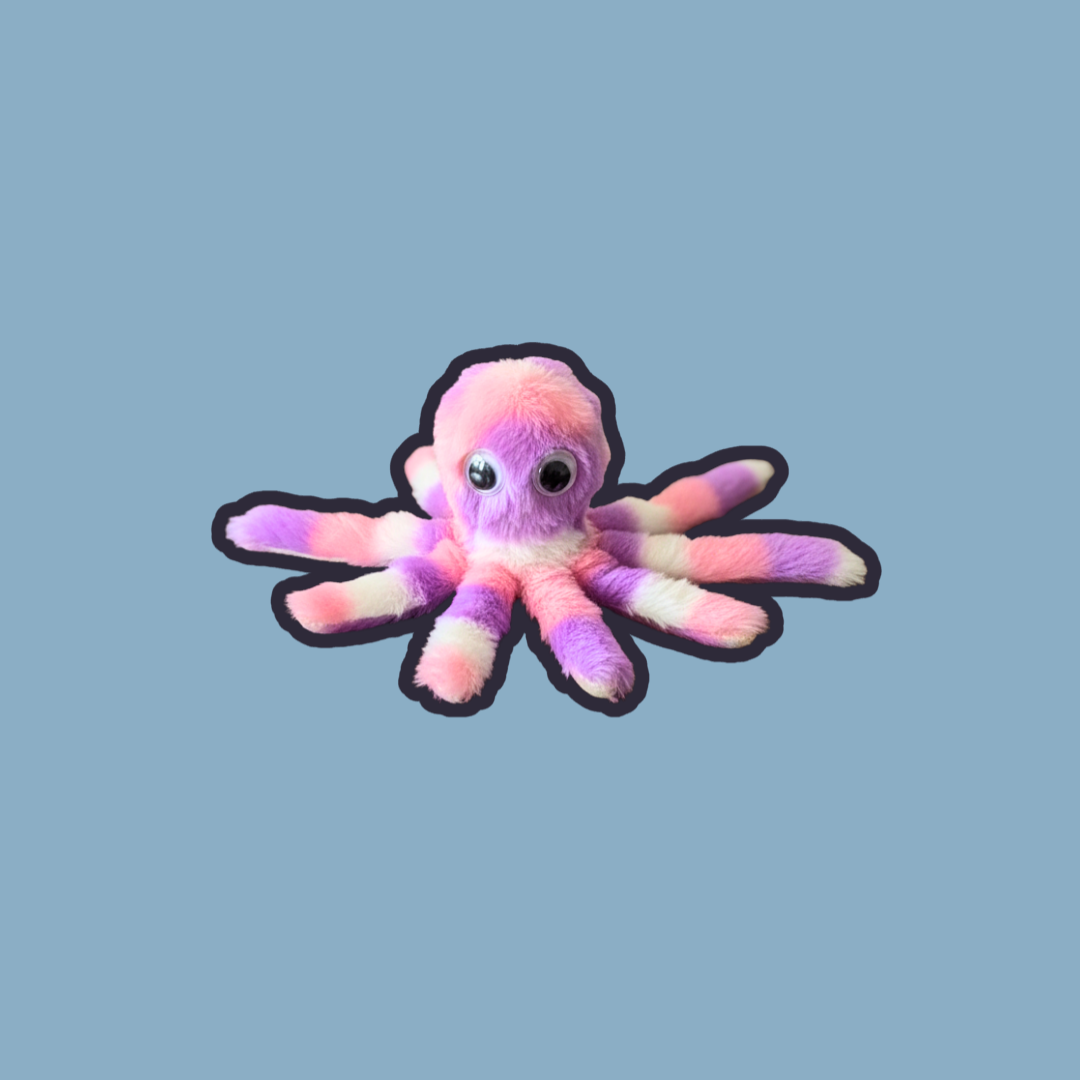 MewChel Box – Curadoria Premium para o Seu Gato 🐾